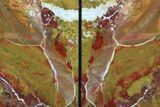 Red/Yellow Jasper Replaced Petrified Wood Bookends - Oregon #99338-1